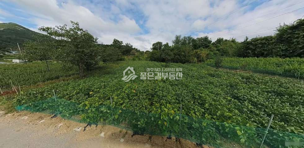 경북 문경시 농암면 선곡리 문경시 농암면 선곡리 개발지(전689평) 매매 매물번호 12635 사진 4