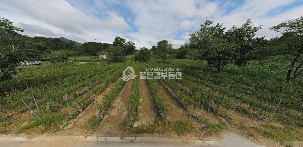 경북 문경시 농암면 선곡리 문경시 농암면 선곡리 개발지(전689평) 매매 매물번호 12635 사진 5
