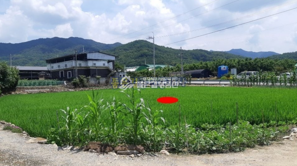 경북 상주시 서곡동 서곡동 전원주택지 계획관리 답 338평 매매 매물번호 10346 사진 3