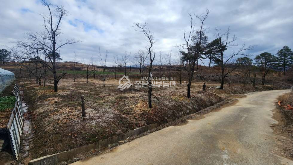 경북 상주시 청리면 삼괴리 청리면 삼괴리 생산관리 전392평 매매 매물번호 11541 사진 3