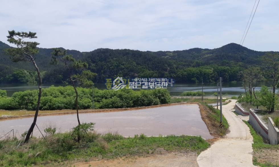 경북 상주시 낙동면 물량리 낙동면 낙동강뷰 개발지(답 322평) 매매 매물번호 10355 사진 1