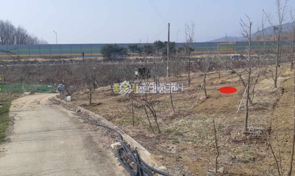 경북 상주시 외남면 지사리 외남면 지사리 외딴곳 감나무밭(답 229평) 매매 매물번호 10421 사진 3