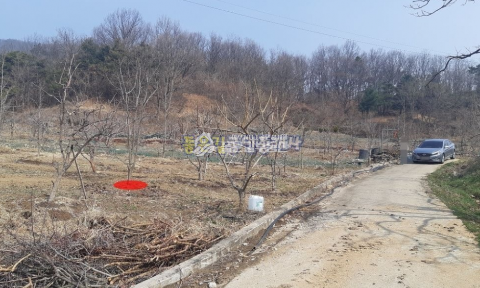 경북 상주시 외남면 지사리 외남면 지사리 외딴곳 감나무밭(답 229평) 매매 매물번호 10421 사진 4