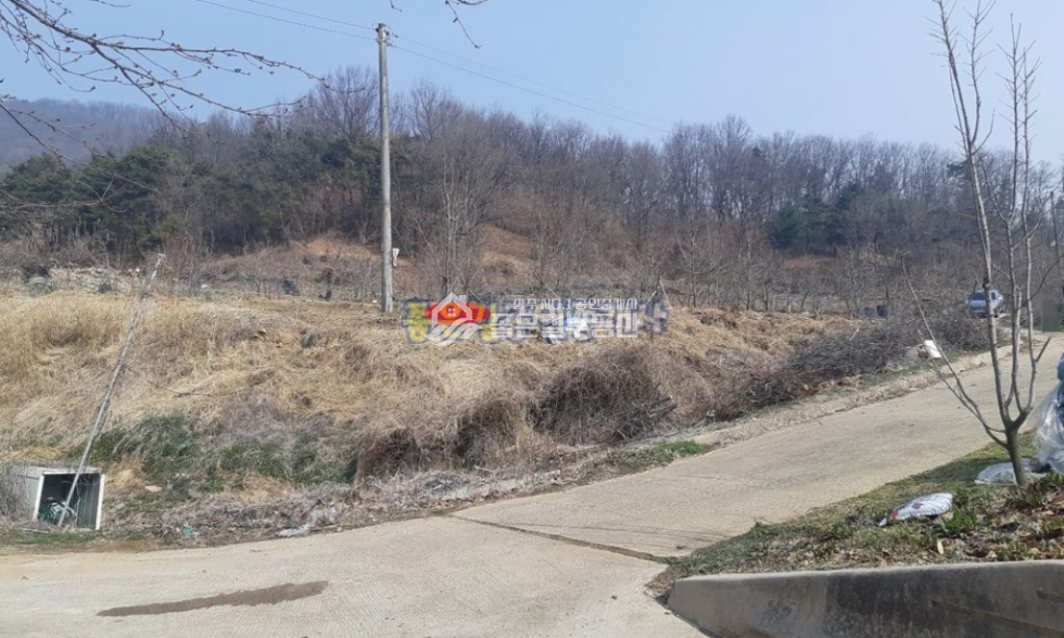 경북 상주시 외남면 지사리 외남면 지사리 외딴곳 감나무밭(답 229평) 매매 매물번호 10421 사진 5