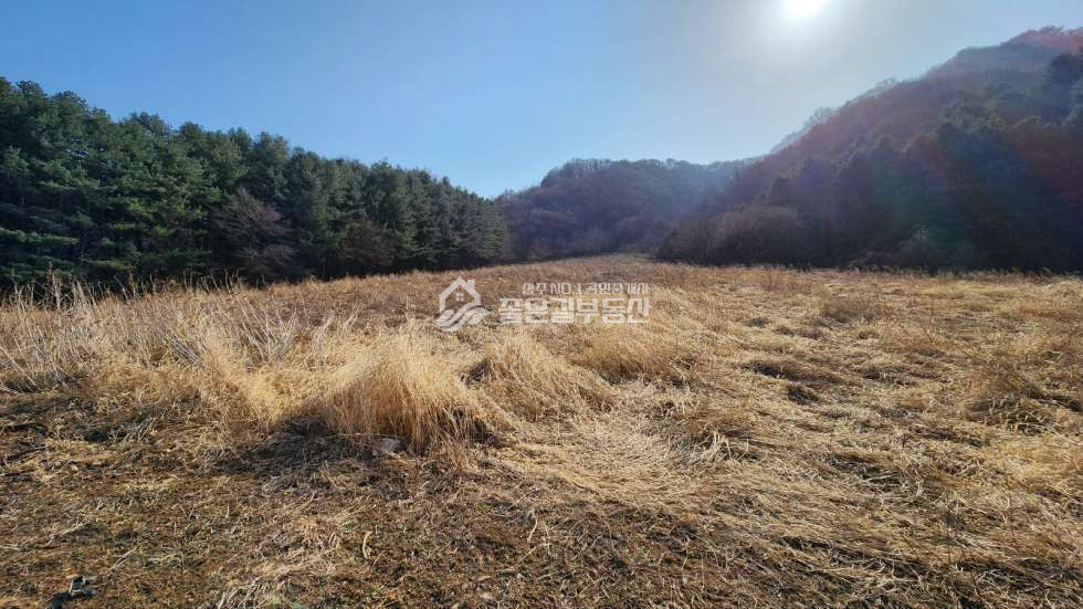 경북 상주시 내서면 노류리 내서면 노류리 개간된 임야(약4천평)&자연림 매매 매물번호 10860 사진 1
