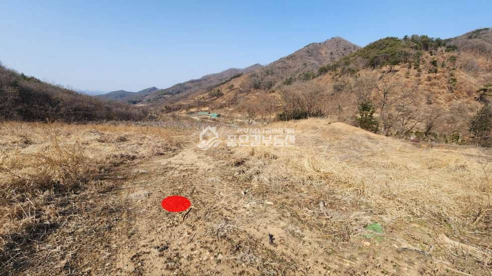 경북 상주시 내서면 노류리 내서면 노류리 개간된 임야(약4천평)&자연림 매매 매물번호 10860 사진 3