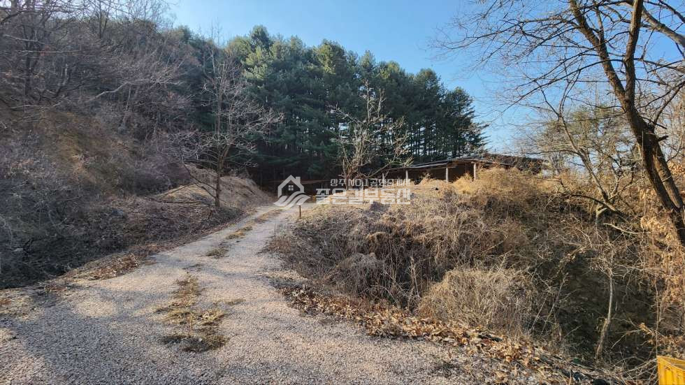 경북 상주시 내서면 노류리 내서면 노류리 개간된 임야(약4천평)&자연림 매매 매물번호 10860 사진 5