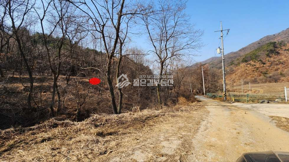 경북 상주시 내서면 노류리 내서면 노류리 개간된 임야(약4천평)&자연림 매매 매물번호 10860 사진 8