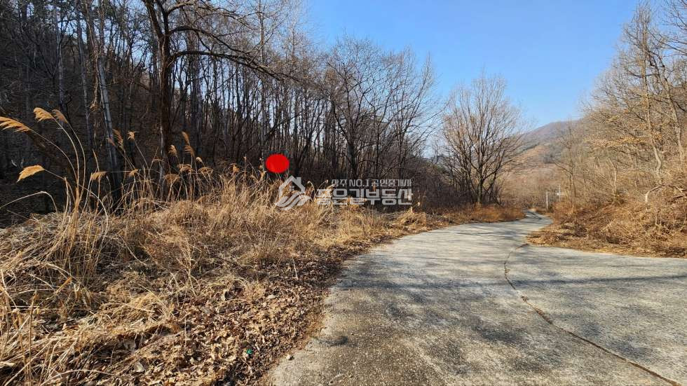 경북 상주시 내서면 노류리 내서면 노류리 개간된 임야(약4천평)&자연림 매매 매물번호 10860 사진 9