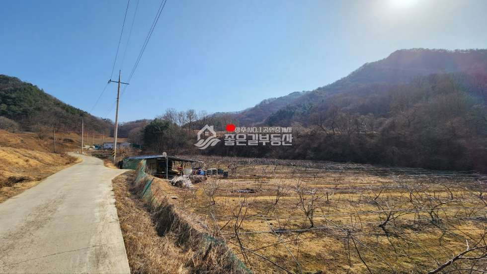 경북 상주시 내서면 노류리 내서면 노류리 개간된 임야(약4천평)&자연림 매매 매물번호 10860 사진 10