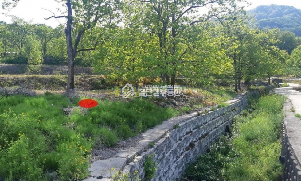 경북 상주시 외남면 송지리 외남면 송지리 마을안 대지 273평 매매 매물번호 10425 사진 4