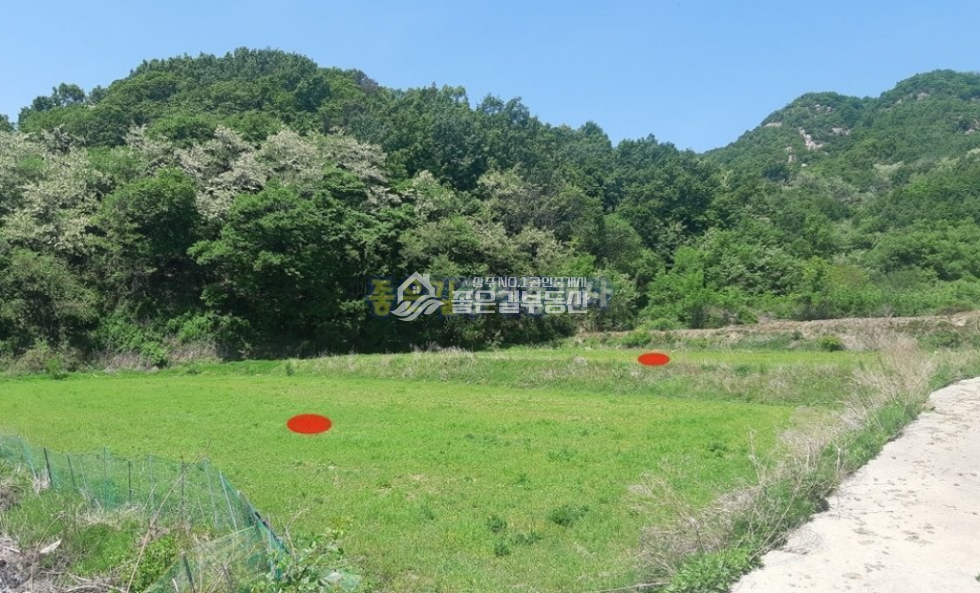 경북 상주시 이안면 양범리 이안면 양범리 산밑자락 한적한 농지(답1,340평) 매매 매물번호 10445 사진 1