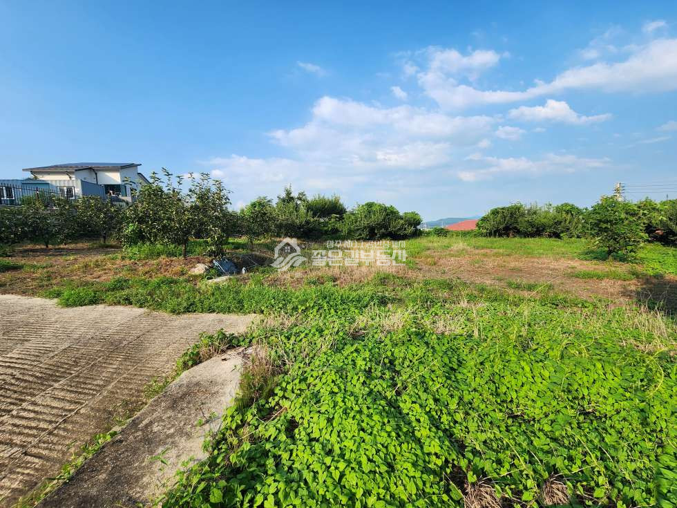 경북 상주시 만산동 만산동 전원주택지 자연녹지(답431평) 매매 매물번호 12926 사진 3