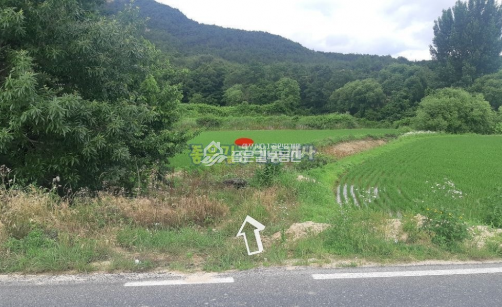 경북 예천군 풍양면 와룡리 예천군 풍양면 와룡리 계획관리 개발지(답1,505평) 매매 매물번호 10450 사진 6