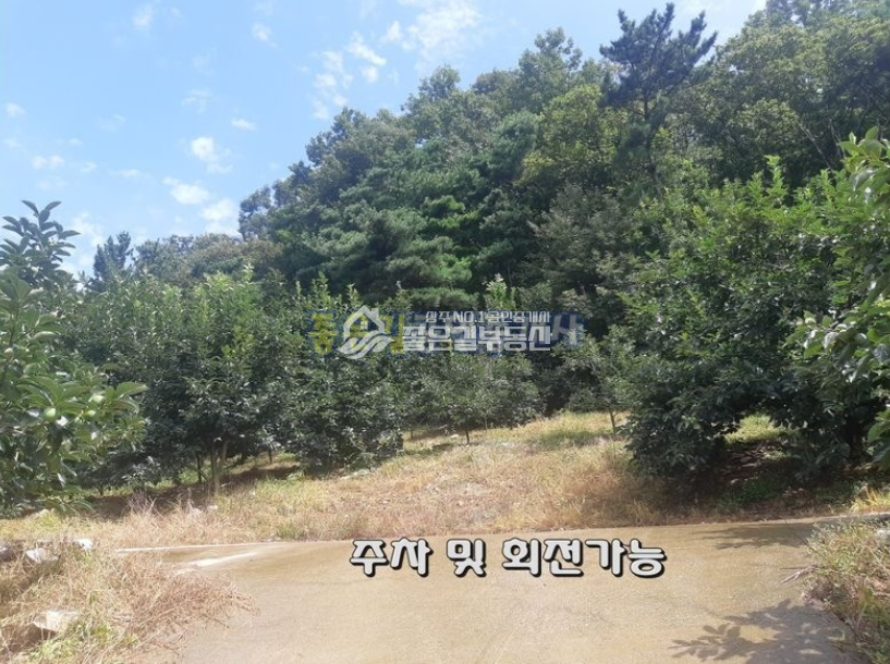 경북 상주시 낙동면 성동리 낙동면 성동리 농림,보전관리지역 임야 19,920평 매매 매물번호 10477 사진 4