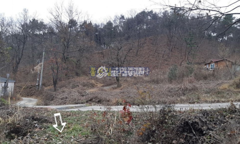 경북 상주시 모서면 호음리 모서면 호음리 외딴 산골 개발지(답 351평) 매매 매물번호 10538 사진 3