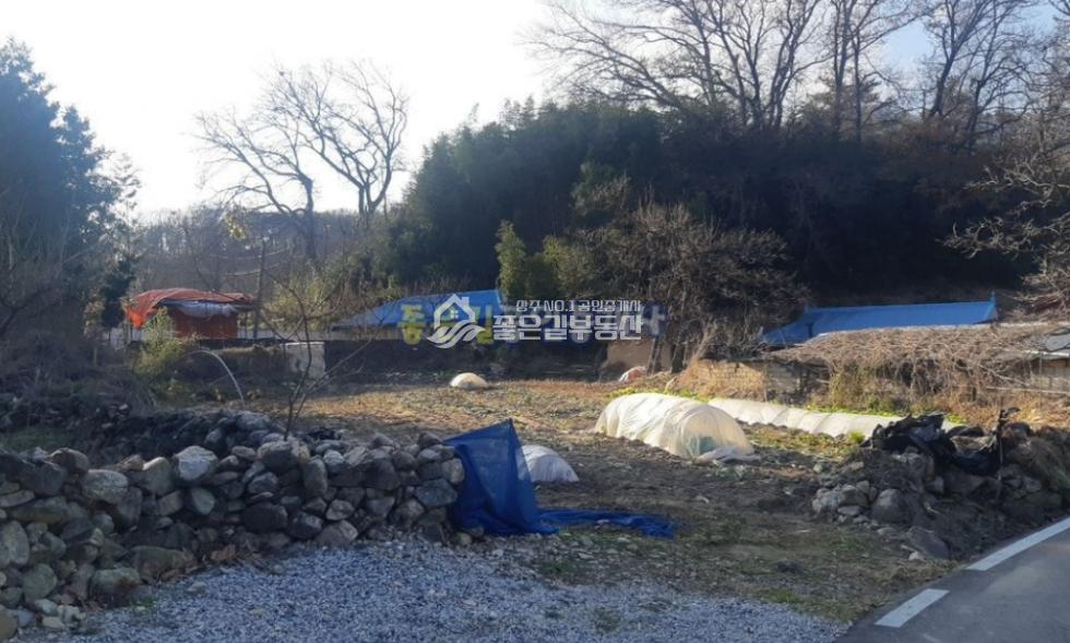경북 상주시 낙동면 용포리 낙동면 용포리 작은마을안 대지 284평 매매 매물번호 10540 사진 3