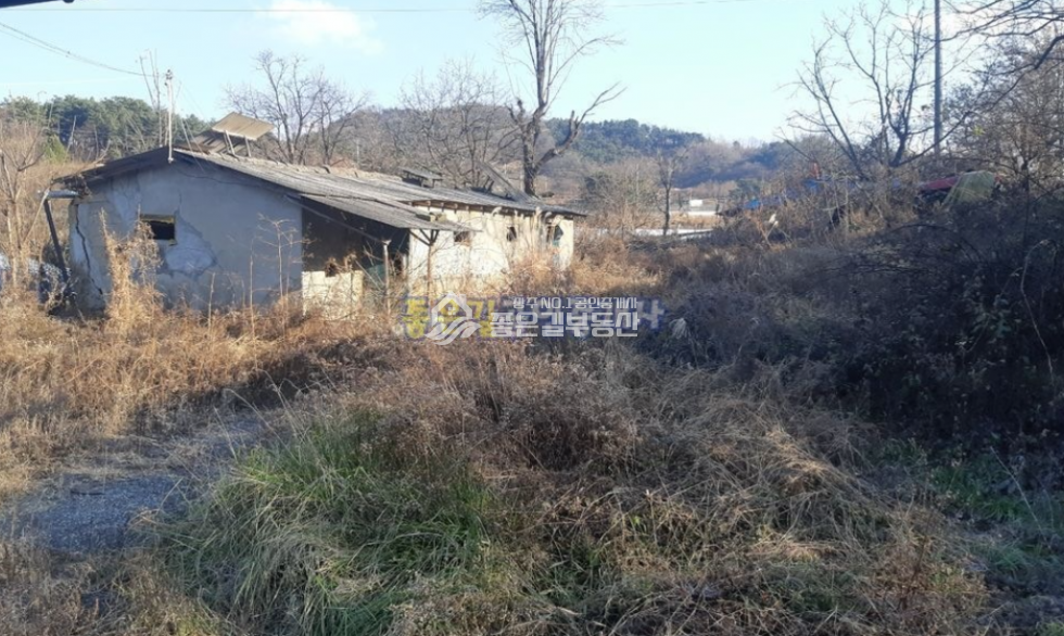 경북 상주시 낙동면 신오리 낙동면 신오리 마을안 폐가(대297평,연44평) 매매 매물번호 10541 사진 7